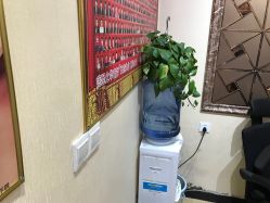 -痣缘宫