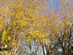 -长春公园(普阳街道)