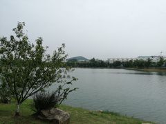 -羊山湖公园