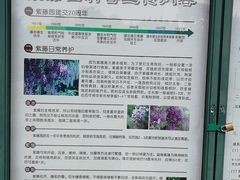 -嘉定紫藤园