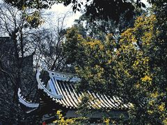 -江心屿景区