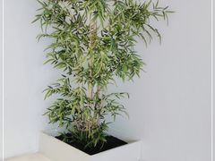 -奈诺甜品·生日蛋糕·下午茶(古城店)