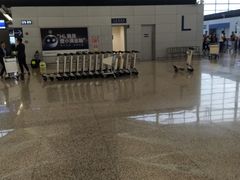 -上海浦东国际机场-T2航站楼