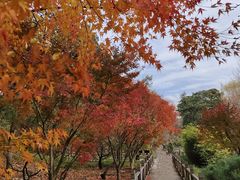 -香山公园