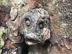 -呀诺达热带雨林