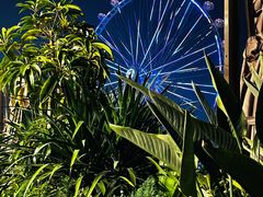 -故里和山·成都火锅(欢乐港湾店)