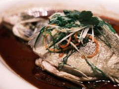 -唐御宴•御宴宫•唐代菜点(芙蓉西路店)