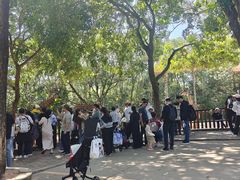 -深圳野生动物园