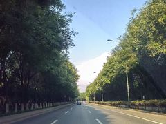 -西安浐灞国家湿地公园