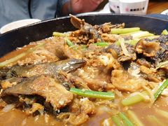 -老板恋上鱼(印象城店)