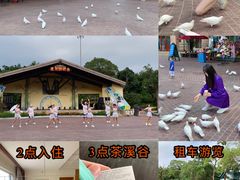 -东部华侨城