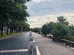 -深圳湾公园(南山区)