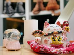 -飞行喵MR PILOT|猫舍·猫咖(静安大融城店)