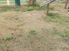 -南通鲜花小镇