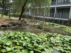 -绍兴鉴湖君澜大酒店