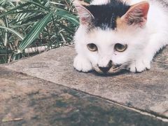 -苏州河梦清园环保主题公园