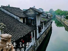 -状元楼(东大街店)