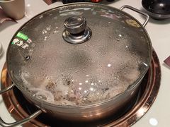 -洪氏嗨捞·猪肚鸡火锅(阳光天地店)