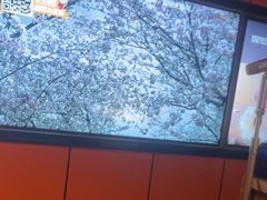 -星聚会KTV(复地活力城店)