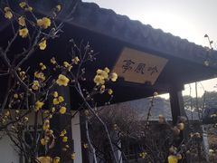 -无锡梅园公园