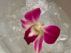 -卷心菜和避孕套餐厅(Pattaya)