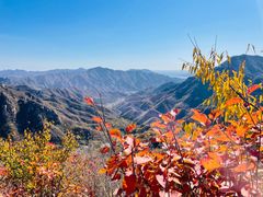 -大岭沟猕猴桃谷风景区