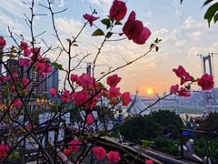 -冰冰龙虾·江湖菜·花园江景餐厅