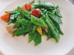 -青梅酒肆PLUS(长白仙岛北路店)
