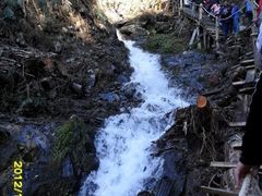 -凤凰山国家森林公园