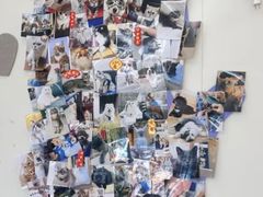 -芭比堂动物医院·CT·微创中心(新顺分院)