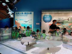 -贝林大翅鲸简餐厅(国家海洋博物馆店)