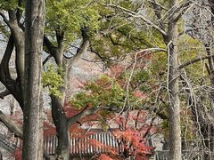 -青岛崂山太清宫