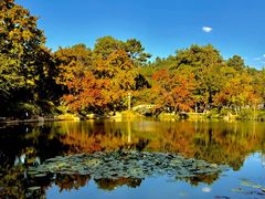 -西山人家·传统苏帮菜·家宴(木渎店)