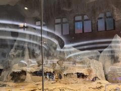 -帝企鹅自助餐厅•儿童岛•真企鹅(长隆企鹅酒店)