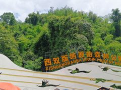 -西双版纳原始森林公园