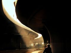 -CGWANG王氏教育(上海校区)