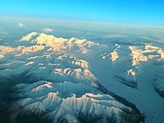 -约翰·菲茨杰拉德·肯尼迪国际机场