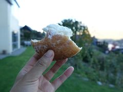cream&nbsp;donuts-Fergbaker(皇后镇店)
