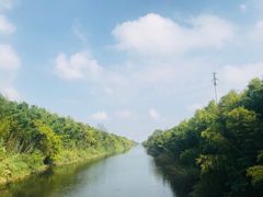 -黄海国家森林公园