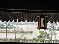 -江心屿景区