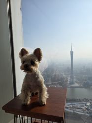 -圣贝拉母婴护理中心(广州瑰丽店)