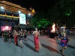 -西双版纳原始森林公园