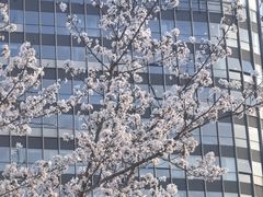 -新天地活力PARK