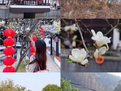 -南沙蒲洲花园