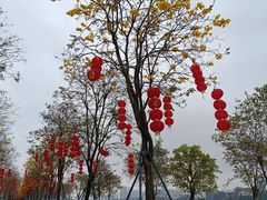 -洲头咀公园