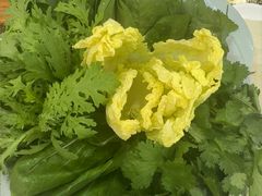 -草原传奇鲜羊火锅(桥北店)