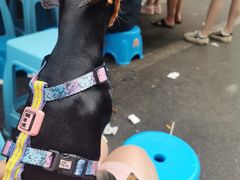 -小罗子汤店(大士院总店)