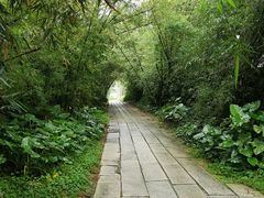 -开平碉楼文化旅游区马降龙景区