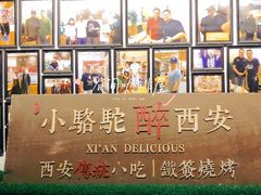 -福苗小骆驼烧烤(莲湖路店)