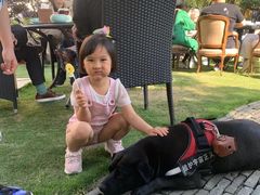 -大可堂普洱茶馆(襄阳南路馆)